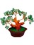 Yeşim Doğal Taş Bonsai Ağacı - Dekoratif Şans ve Bereket Ağacı 5