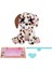 Scruff A Luvs Klasik Seri Sürpriz Kutu CRU10000 5