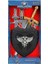 Paladin Knight Sesli Şövalye Seti 2