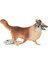 Soft Sevimli Köpekler Seri 1 2
