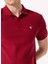 Bordo Erkek Basic %100 Pamuk Polo T-Shirt F5SM-TST 2779 4