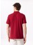 Bordo Erkek Basic %100 Pamuk Polo T-Shirt F5SM-TST 2779 5