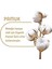 Pure Baby Organik Pamuklu 270 Yaprak (90X3) Islak Havlu 2