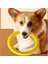 Köpek Halka sı Frisbeed Oyuncaklar Pet Uçan Disk Eğitim Halka sı Çektirme Anti-Isırık Yüzen Interaktif Malzemeleri Köpek A gresif Çiğneme Oyuncakları 1