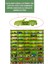 50 Araçlık Ahşap Duvar Rafı ( Hotweels ve Matchbox ) 1