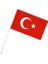 Plastik Sopalı Bayrak Büyük 22 x 32 cm Karton 40LI Türk Bayrağı 1