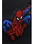 Spider Man / Örümcek Adam - 3 Boyutlu Tabela - 25 cm x 19.5 cm x 1.5 cm 4