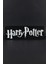 Harry Potter - 3 Boyutlu Tabela - 25 cm x 8.5 cm x 1.5 cm 1