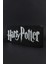 Harry Potter - 3 Boyutlu Tabela - 25 cm x 8.5 cm x 1.5 cm 2