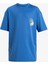 Aqbwr03067-Bqv0 Everyday Surf Tee Ss Youth Erkek Çocuk Yüzücü Tişörtü 1