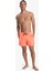 Everyday Solid Volley 15 Erkek Şort Mayo EQYJV04120 5