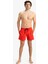 Everyday Solid Volley 15 Erkek Şort Mayo EQYJV04120 4