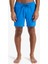 EQYJV04118-BQV0 Surfsilk Solid Volley 16 Erkek Şort Mayo 1