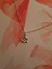 Swan In Love Zincir Kolye 2