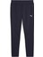 Evostripes Erkek Eşofman Altı 68461416 5