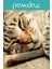 Catnipli Matatabi Stick- Kedi Oyun Çubuğu (3 Adet) 4