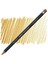 Procolour Pencil Brown Ochre 2
