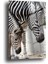 Zebra Cam Tablo Duvar Dekarasyonu 2