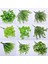 1 Adet Selvi 35 cm Adet Yapay Boston Fern Bitkiler Plastik Yapay Çalılar Yeşillik Ev Açık Bahçe Ofis Dekor Için Taklit Bitkiler (Yurt Dışından) 2
