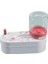 Boya Fırçası Temizleme Cihazı Döngüsü Kare Elips Yeşil Pembe Scrubber Diy Yağlıboya Guaj Güzel Sanatlar Suluboya Kalem Temizleme Aracı Renk:oval Pembe (Yurt Dışından) 1