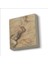 Eskiz Çizim (Leonardo Da Vinci) Baskılı Taş Magnet 5x5 1