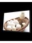 Civciv Yumurta Cam Tablo Chick Egg 1