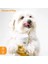 - Derma H Plus: Küçük Irk Köpekler İçin Glütensiz ve Şekersiz Çiğnenebilir Tablet (90 gr) 2