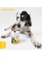 Immunity Plus: Köpekler İçin Glütensiz ve Şekersiz Çiğnenebilir Tablet (120 gr) 2