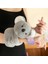 Sevimli Koala Peluş Bileklik Araba Aksesuarı Araç Içi 18 cm Gri Tembel Hayvan Oyuncak 3