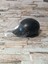 Jokey Kask 2