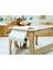 Cozy Dome Montessori Aktivite Masası – Ahşap, Saklama Alanlı, Rulo Kağıt Hediyeli 3