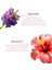 Renewage Bakuchiol (%1) Duoserum® | Hassas Ciltler için Bitkisel Retinol Alternatifi | Gece Onarım Cilt Serumu 3