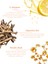 Nopigma Brightener C Vitaminli Duoserum® | Lekeye Eğilimli Ciltler için Cilt Aydınlatıcı | Ton Eşitleyici Serum 3