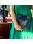 Juno Smart Planner Gold/butterfly 3