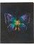Color 20X25 80YP. Kareli Bind Note Butterfly Ciltli Butik Defter 1