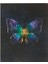 Color 20X25 80YP. Kareli Bind Note Butterfly Ciltli Butik Defter 2