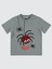 Erkek Çocuk Tişört 2-5 Yaş Gri 1