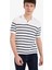%100 Pamuk Standart Fit Polo Yaka Kısa Kollu Çizgili Tişört E5861AX25SP 4