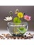 5 Adet Tohum Nadir Karışık Renkli Kutsal Mis Kokulu Kase Lotus Çiçeği Tohumu Organik Sürdürülebilir Tohum 1