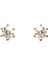 Sky Diamond Rose Altın Kaplama Tektaş Montür Vidalı Küpe 1