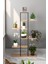Zigzag Tasarımlı 4 Raflı Dekoratif Çiçeklik 150cm Ceviz 2