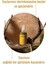 Isırgan Otu ve Ginseng Özlü Saç Toniği - Zayıf ve Dökülen Saçlar Için Tonik 200 ml 3