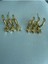 Gold Yıldız Charm Sallantılı Halka Küpe 3