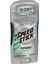Power Fresh Stick Deodorant 85 gr 1