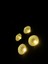 AL4100LB LED Blinder 2