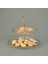 Kitchen Paloma 2 Katlı Kurabiyelik - Şeffaf / Altın 3