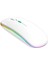 RGB-102F Rgb Işıklı, Efektli, Silent-Sessiz, Rf Kablosuz, Bluetooth Mouse - Beyaz 2