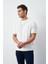 Havlu Kumaş Regular Fit Sıfır Yaka T-Shirt 1