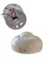 CT-9243 360 Derece Tavan Hareket Algılayıcı Sensörü 1200W 4