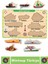 Premium Eğlenceli Eğitici Görsel Algı Problem Çözme Becerisi Çocuk Puzzle Deniz Taşıtları 2